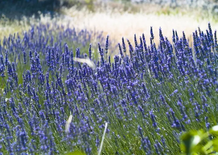 In With Sea View, Terrace, Air Conditioning, Wifi 3615-2 Appartement Hvar Town