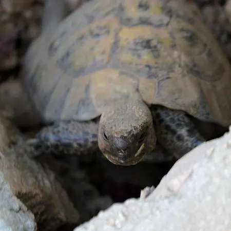 In With Sea View, Terrace, Air Conditioning, Wifi 3615-2 شقة *