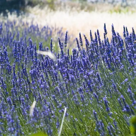 In With Sea View, Terrace, Air Conditioning, Wifi 3615-2 Apartman Hvar Town