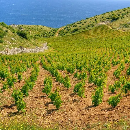 Apartman In With Sea View, Terrace, Air Conditioning, Wifi 3615-2 Hvar Town