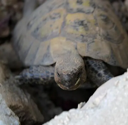 In With Sea View, Terrace, Air Conditioning, Wifi 3615-2 Апартаменти *