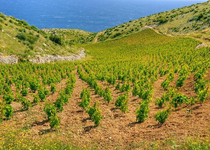 شقة In With Sea View, Terrace, Air Conditioning, Wifi 3615-2 هفار